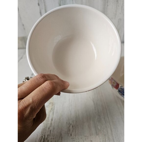 Pier‎ 1 flower bowl cereal spring set - Picture 7 of 11